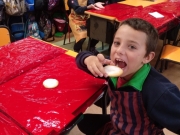 IMG_20190201_151524_446