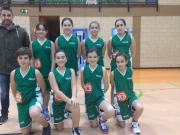 Saski Mini B