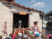 IMG20230601111728