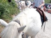 IMG20230601114628