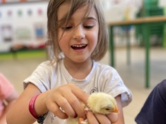 Txitak 3 urteko gelan (2025eko maiatza)