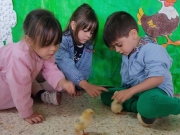 IMG_20210513_114215