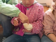 IMG20220525131404
