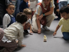 Udaberria (2025-05-24)