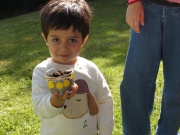 SONY DSC