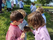 IMG_20260417_114053