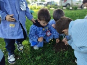 IMG_20260417_114727