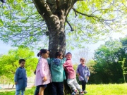 IMG_20260417_115510