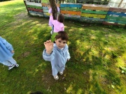 IMG_20260417_115613