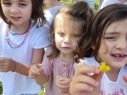 IMG_20260417_145658
