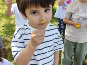 IMG_20260417_145911